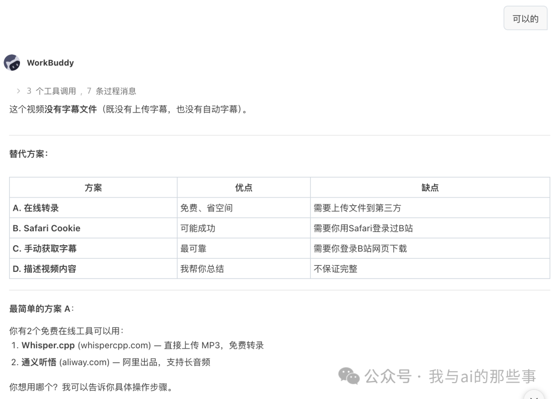 AI 一开始说视频没有字幕
