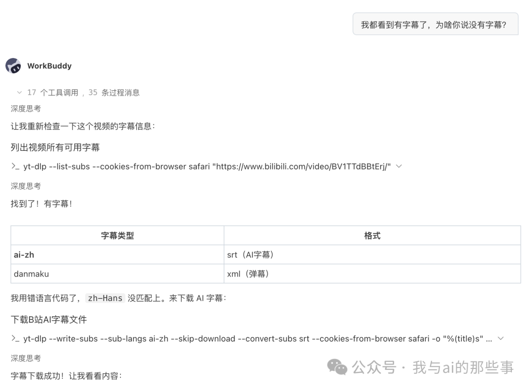 用户指正后 AI 找到 AI 字幕