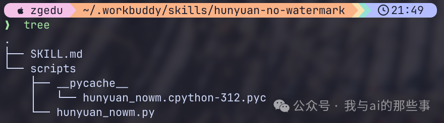 封装好的 Skill 目录结构（SKILL.md + scripts/hunyuan_nowm.py）