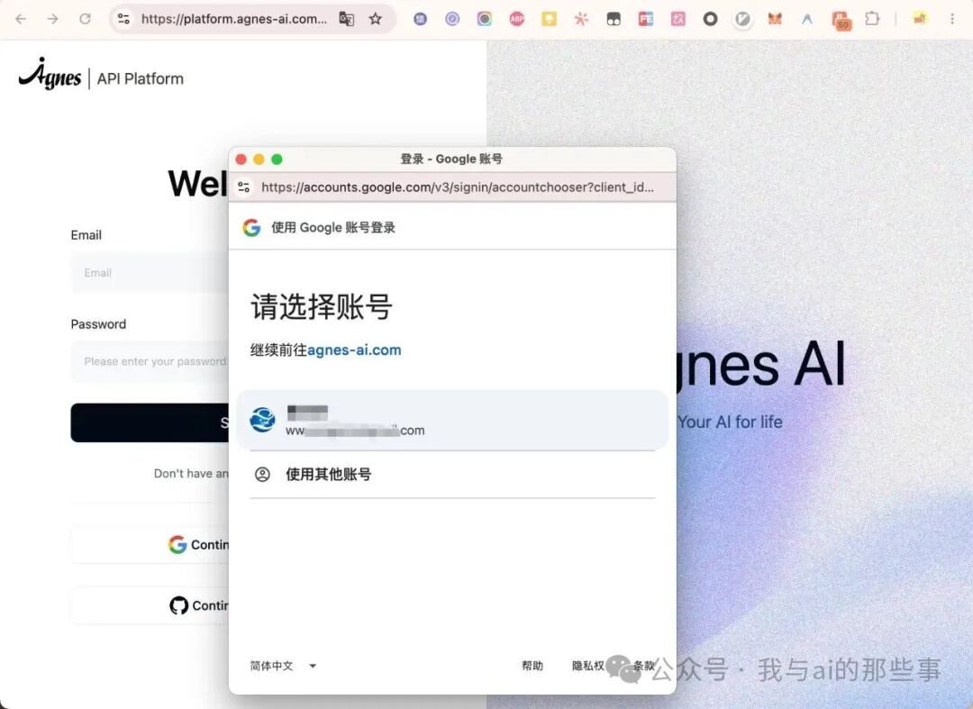 Google 账号登录